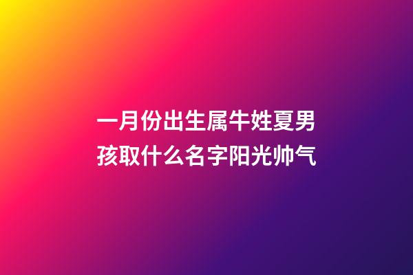 一月份出生属牛姓夏男孩取什么名字阳光帅气