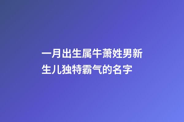 一月出生属牛萧姓男新生儿独特霸气的名字