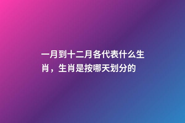 一月到十二月各代表什么生肖，生肖是按哪天划分的-第1张-观点-玄机派