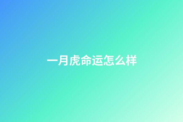 一月虎命运怎么样