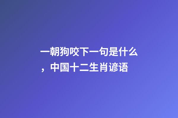 一朝狗咬下一句是什么，中国十二生肖谚语-第1张-观点-玄机派