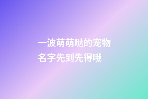 一波萌萌哒的宠物名字先到先得哦