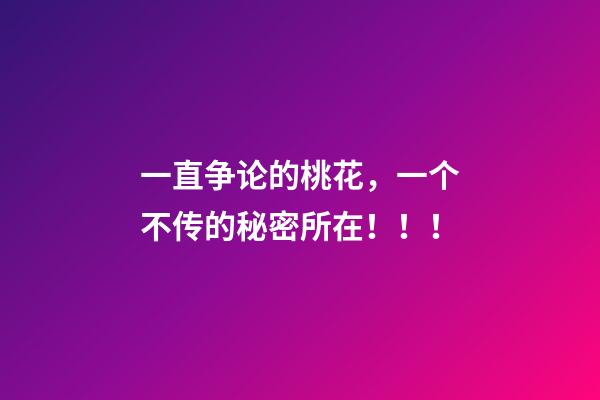 一直争论的桃花，一个不传的秘密所在！！！