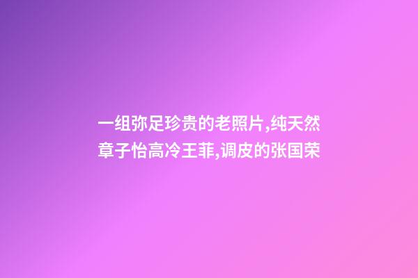 一组弥足珍贵的老照片,纯天然章子怡高冷王菲,调皮的张国荣-第1张-观点-玄机派