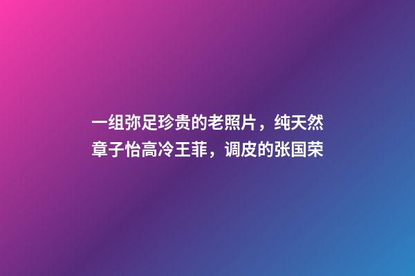 一组弥足珍贵的老照片，纯天然章子怡高冷王菲，调皮的张国荣-第1张-观点-玄机派