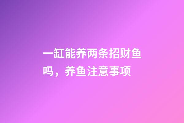 一缸能养两条招财鱼吗，养鱼注意事项
