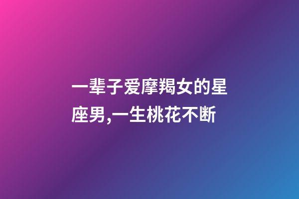 一辈子爱摩羯女的星座男,一生桃花不断-第1张-观点-玄机派