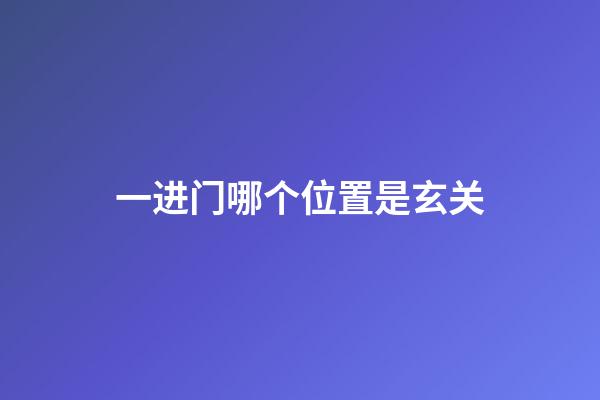 一进门哪个位置是玄关