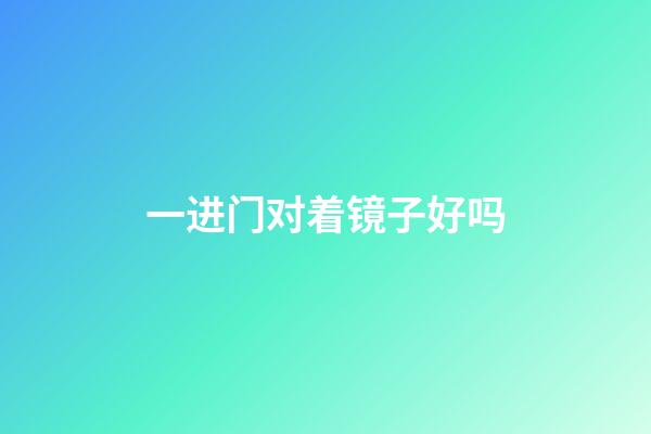 一进门对着镜子好吗