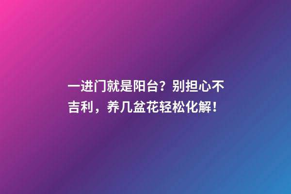 一进门就是阳台？别担心不吉利，养几盆花轻松化解！
