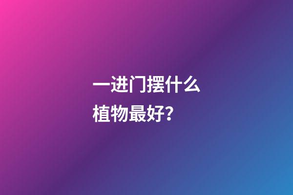 一进门摆什么植物最好？