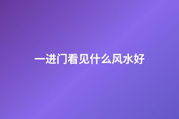 一进门看见什么风水好