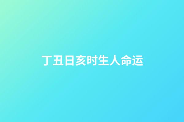 丁丑日亥时生人命运(乙亥年丁丑月甲子日杂谈一篇)-第1张-观点-玄机派