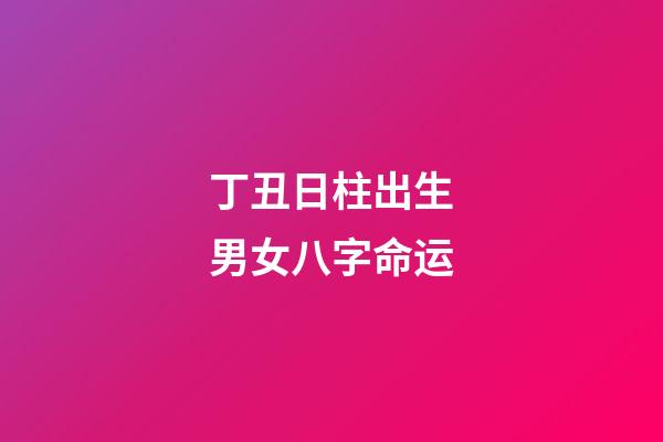 丁丑日柱出生男女八字命运