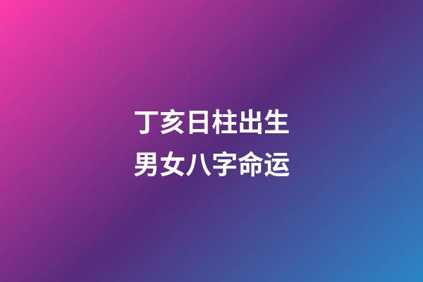 丁亥日柱出生男女八字命运