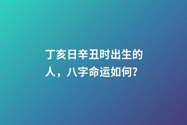 丁亥日辛丑时出生的人，八字命运如何？