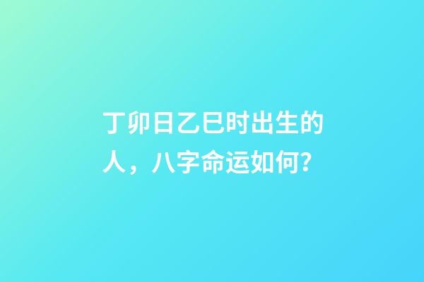 丁卯日乙巳时出生的人，八字命运如何？