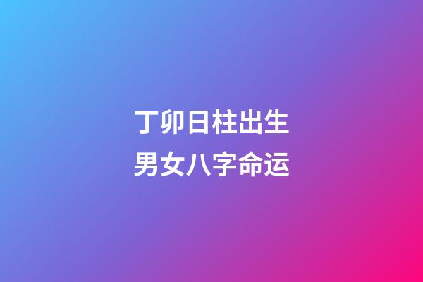 丁卯日柱出生男女八字命运