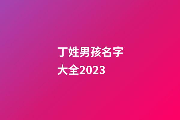 丁姓男孩名字大全2023