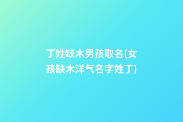 丁姓缺木男孩取名(女孩缺木洋气名字姓丁)