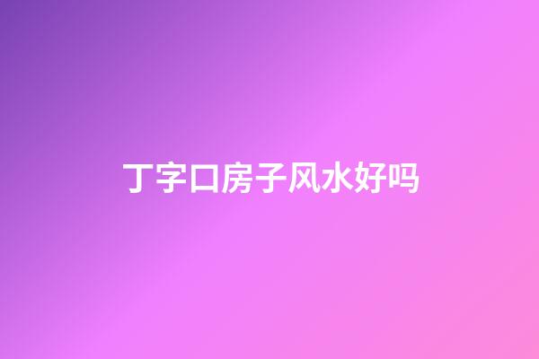 丁字口房子风水好吗