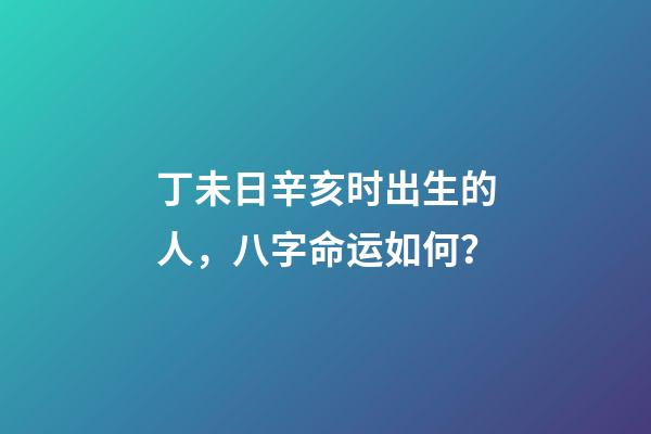 丁未日辛亥时出生的人，八字命运如何？