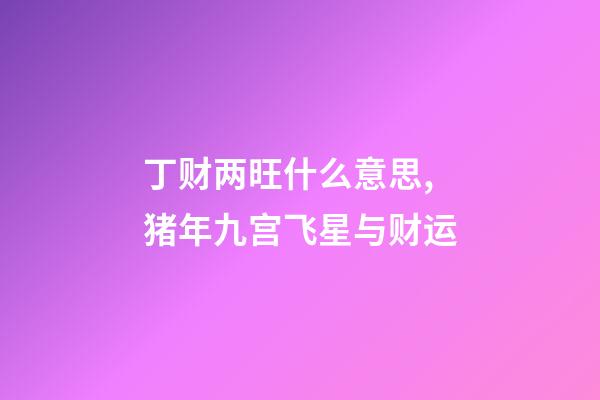 丁财两旺什么意思,猪年九宫飞星与财运-第1张-观点-玄机派
