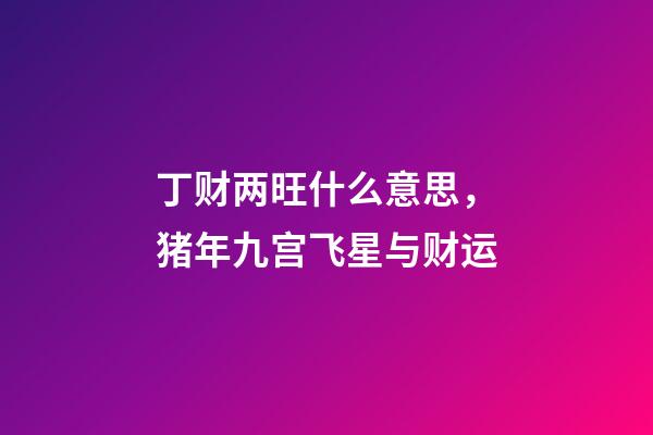 丁财两旺什么意思，猪年九宫飞星与财运-第1张-观点-玄机派