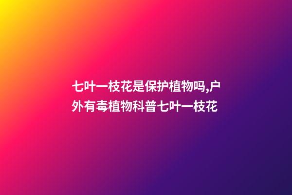 七叶一枝花是保护植物吗,户外有毒植物科普七叶一枝花-第1张-观点-玄机派