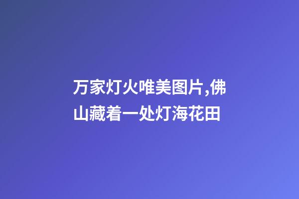 万家灯火唯美图片,佛山藏着一处灯海花田-第1张-观点-玄机派