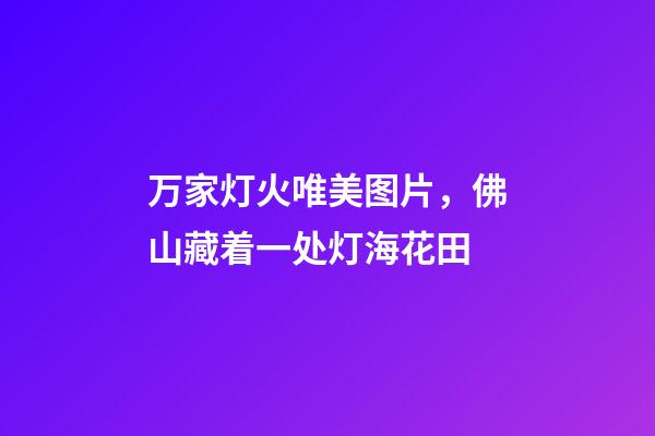 万家灯火唯美图片，佛山藏着一处灯海花田-第1张-观点-玄机派
