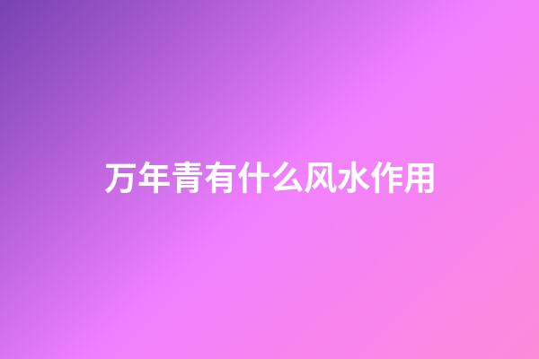 万年青有什么风水作用