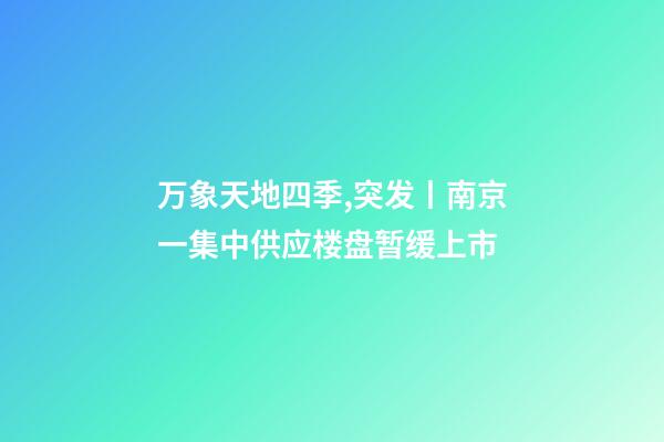 万象天地四季,突发丨南京一集中供应楼盘暂缓上市-第1张-观点-玄机派