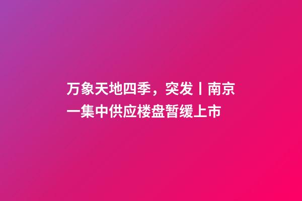 万象天地四季，突发丨南京一集中供应楼盘暂缓上市-第1张-观点-玄机派