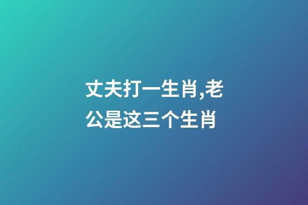 丈夫打一生肖,老公是这三个生肖-第1张-观点-玄机派