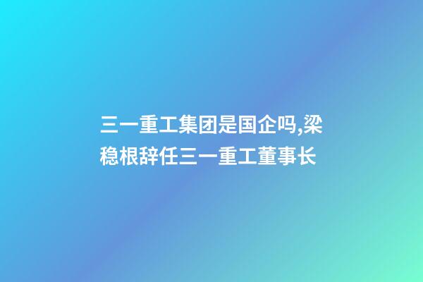 三一重工集团是国企吗,梁稳根辞任三一重工董事长-第1张-观点-玄机派