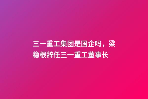 三一重工集团是国企吗，梁稳根辞任三一重工董事长-第1张-观点-玄机派