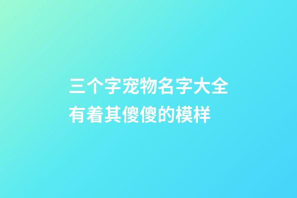 三个字宠物名字大全有着其傻傻的模样