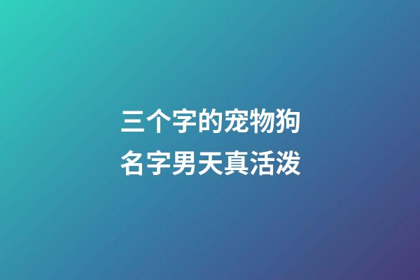 三个字的宠物狗名字男天真活泼