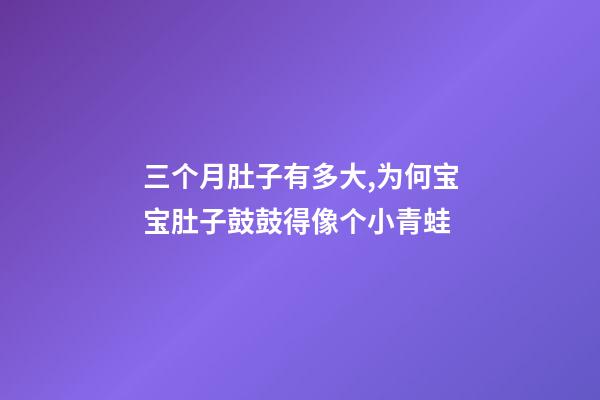 三个月肚子有多大,为何宝宝肚子鼓鼓得像个小青蛙-第1张-观点-玄机派
