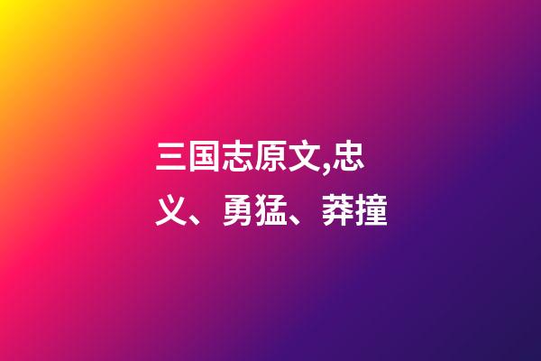 三国志原文,忠义、勇猛、莽撞-第1张-观点-玄机派