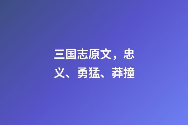 三国志原文，忠义、勇猛、莽撞-第1张-观点-玄机派