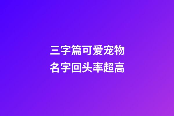 三字篇可爱宠物名字回头率超高