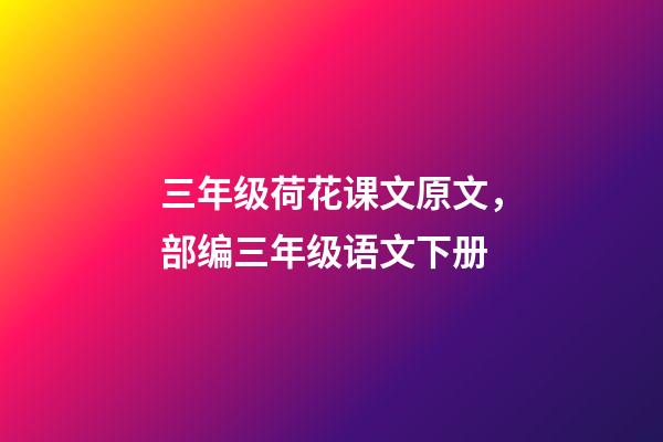 三年级荷花课文原文，部编三年级语文下册-第1张-观点-玄机派