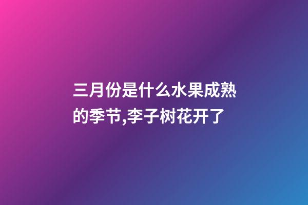 三月份是什么水果成熟的季节,李子树花开了-第1张-观点-玄机派