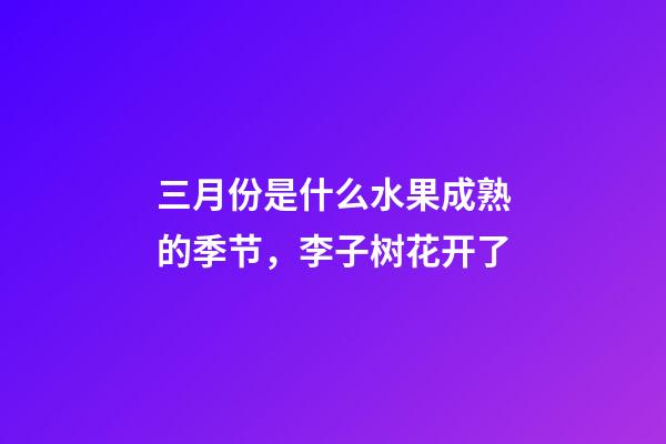 三月份是什么水果成熟的季节，李子树花开了-第1张-观点-玄机派