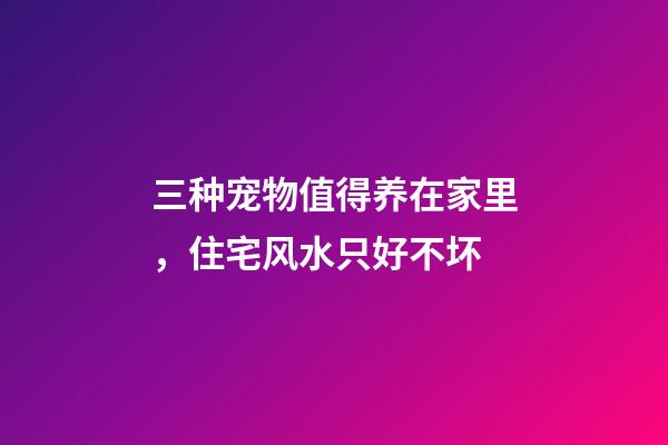 三种宠物值得养在家里，住宅风水只好不坏