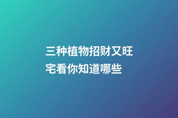 三种植物招财又旺宅看你知道哪些