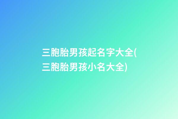 三胞胎男孩起名字大全(三胞胎男孩小名大全)