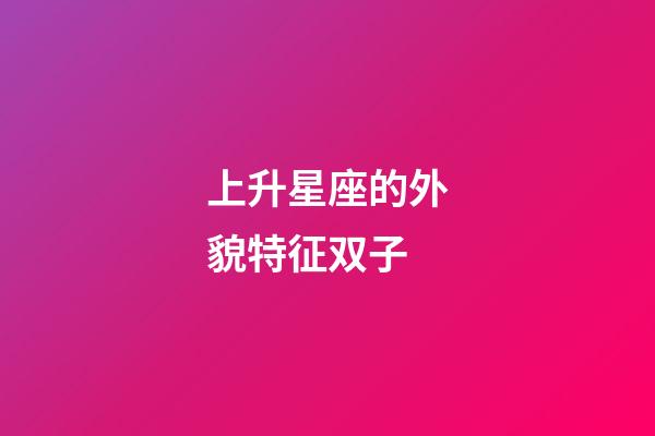 上升星座的外貌特征双子-第1张-星座运势-玄机派